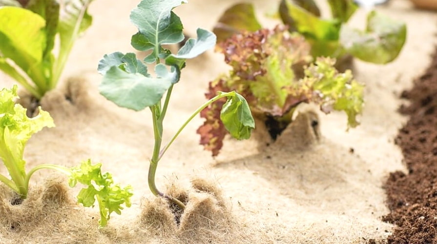 Biokertekbe való a biotextil, amely természetes anyagokból készül